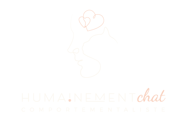 Logo Aux mains et merveilles