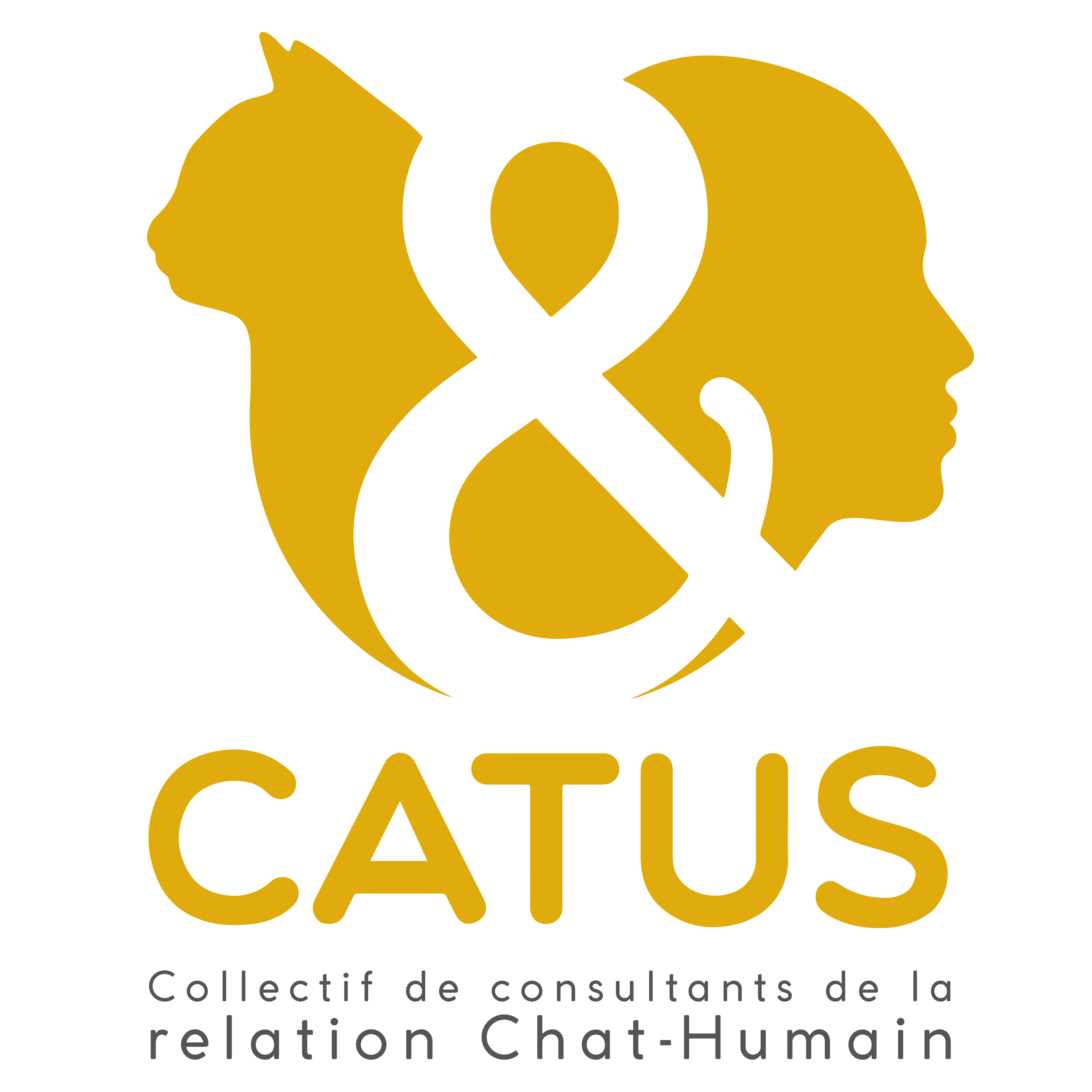 Collectif Catus