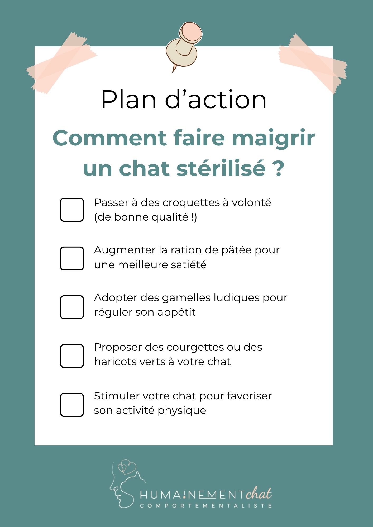 Check-list faire maigrir un chat stérilisé